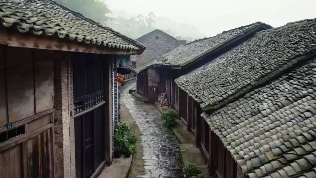 机智问答|不吃饭，只吃水果能减肥吗的专业问题解答